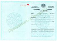 Бланк академической справки